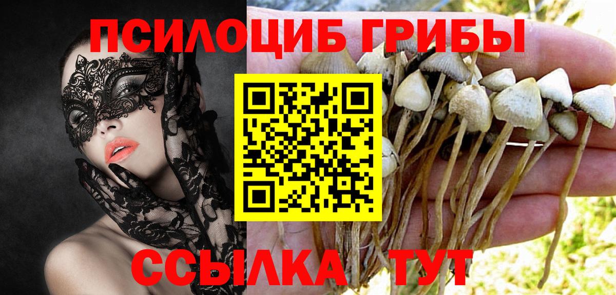 цены   Псилоцибиновые грибы MAGIC MUSHROOMS  Вход с VPN  Тверь 