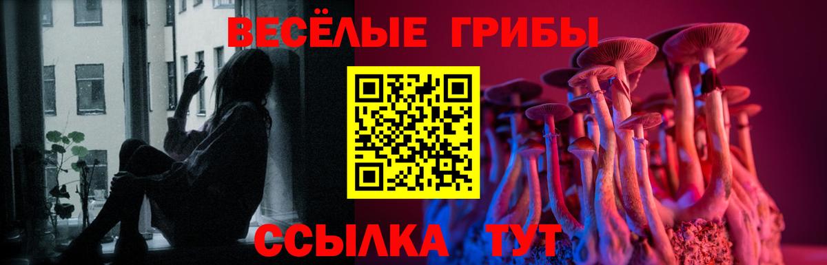 Псилоцибиновые грибы GOLDEN TEACHER Тверь